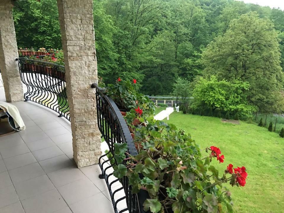 Pensiunea Medeea Hotel Pestis Buitenkant foto